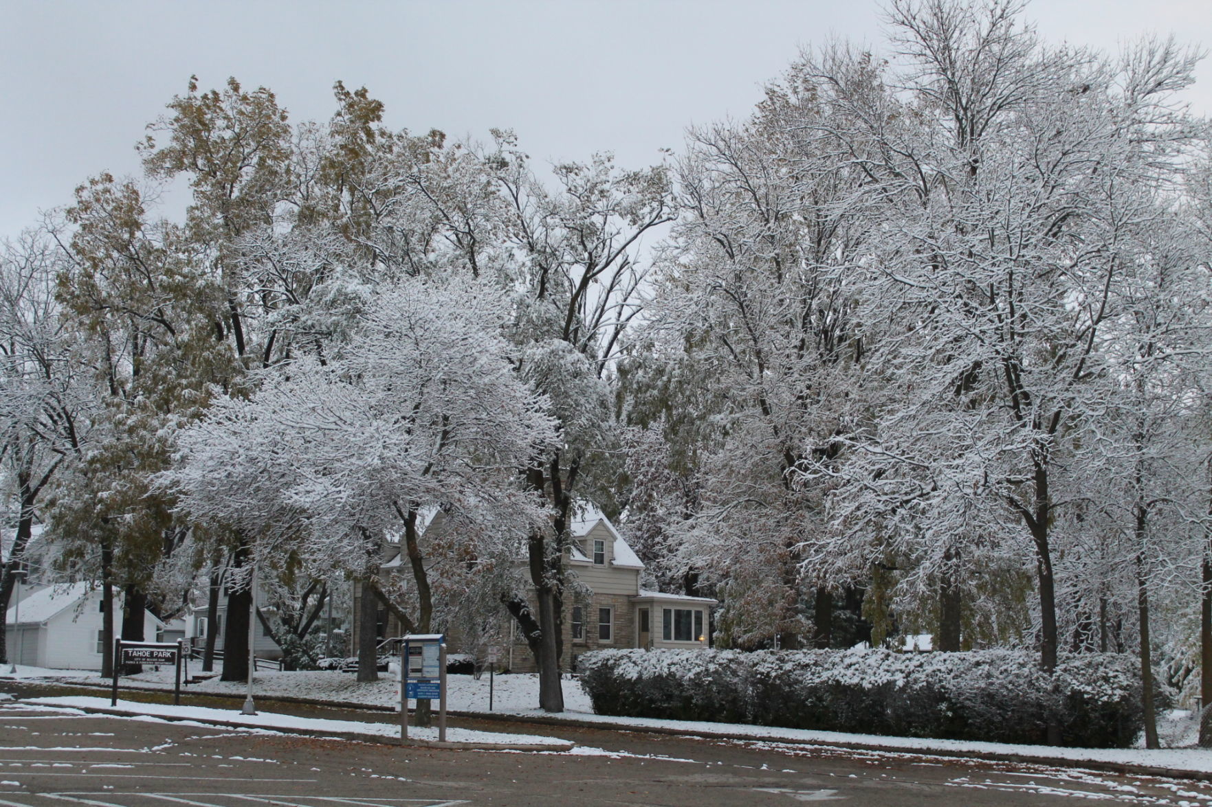 102919 snow 007.JPG